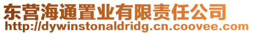 東營海通置業(yè)有限責任公司
