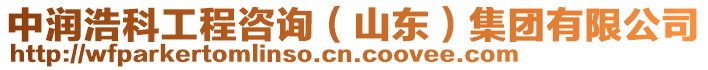 中潤浩科工程咨詢（山東）集團(tuán)有限公司