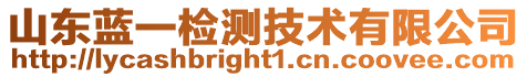 山東藍(lán)一檢測(cè)技術(shù)有限公司