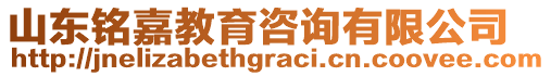 山東銘嘉教育咨詢有限公司