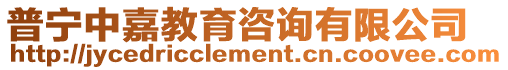 普寧中嘉教育咨詢有限公司