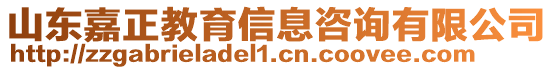 山東嘉正教育信息咨詢有限公司