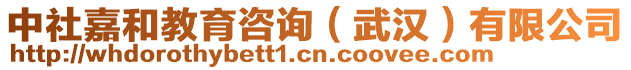 中社嘉和教育咨詢（武漢）有限公司