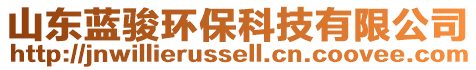 山東藍(lán)駿環(huán)保科技有限公司
