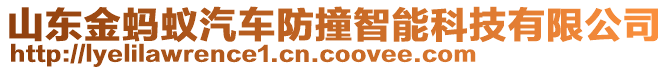 山東金螞蟻汽車防撞智能科技有限公司
