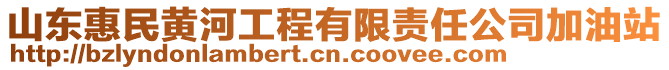 山東惠民黃河工程有限責(zé)任公司加油站