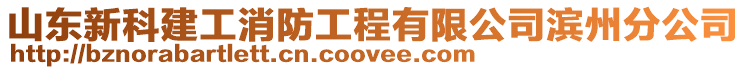 山東新科建工消防工程有限公司濱州分公司