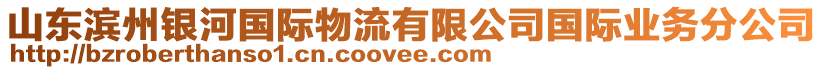 山東濱州銀河國際物流有限公司國際業(yè)務(wù)分公司