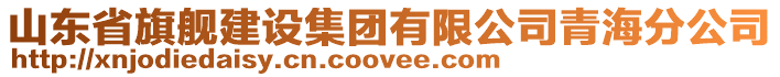 山東省旗艦建設集團有限公司青海分公司