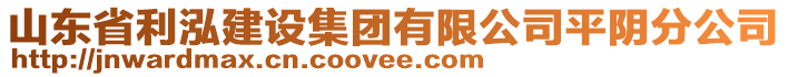 山東省利泓建設(shè)集團(tuán)有限公司平陰分公司