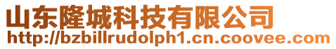 山東隆城科技有限公司