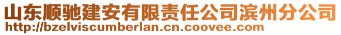 山東順馳建安有限責任公司濱州分公司