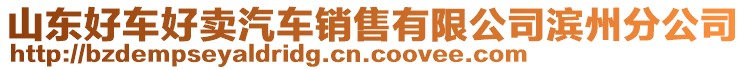 山東好車好賣汽車銷售有限公司濱州分公司