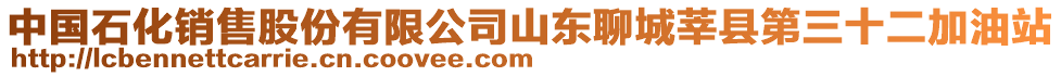 中國(guó)石化銷售股份有限公司山東聊城莘縣第三十二加油站