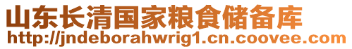 山東長清國家糧食儲備庫