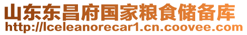 山東東昌府國家糧食儲備庫