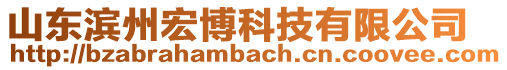 山東濱州宏博科技有限公司