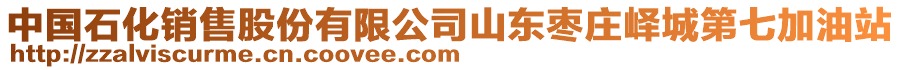 中國石化銷售股份有限公司山東棗莊嶧城第七加油站