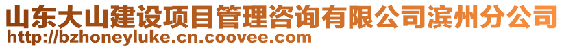 山東大山建設(shè)項目管理咨詢有限公司濱州分公司