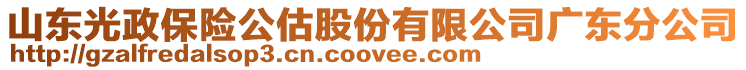 山東光政保險公估股份有限公司廣東分公司