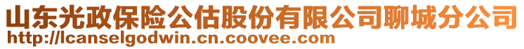 山東光政保險公估股份有限公司聊城分公司