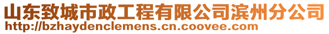 山東致城市政工程有限公司濱州分公司