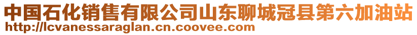 中國石化銷售有限公司山東聊城冠縣第六加油站