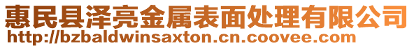 惠民縣澤亮金屬表面處理有限公司