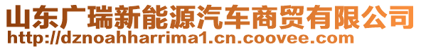 山東廣瑞新能源汽車商貿(mào)有限公司