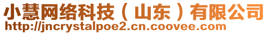 小慧網(wǎng)絡(luò)科技（山東）有限公司