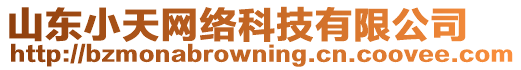 山東小天網(wǎng)絡(luò)科技有限公司