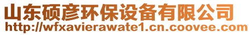 山東碩彥環(huán)保設(shè)備有限公司