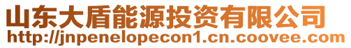 山東大盾能源投資有限公司