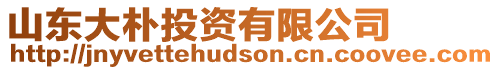 山東大樸投資有限公司