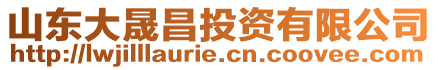 山東大晟昌投資有限公司