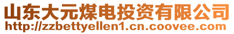 山東大元煤電投資有限公司