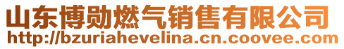 山東博勛燃?xì)怃N售有限公司