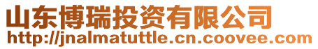 山東博瑞投資有限公司