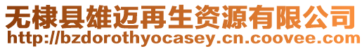 無棣縣雄邁再生資源有限公司