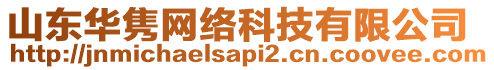 山東華雋網絡科技有限公司