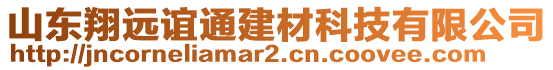 山東翔遠(yuǎn)誼通建材科技有限公司