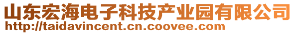 山東宏海電子科技產(chǎn)業(yè)園有限公司