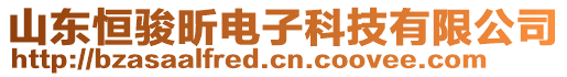 山东恒骏昕电子科技有限公司