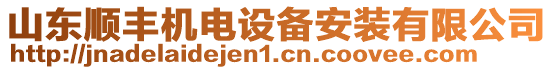 山东顺丰机电设备安装有限公司