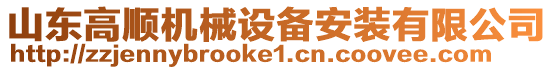 山東高順機(jī)械設(shè)備安裝有限公司
