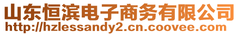 山東恒濱電子商務(wù)有限公司