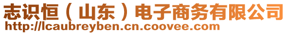 志識恒（山東）電子商務(wù)有限公司