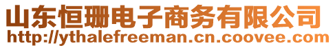 山东恒珊电子商务有限公司