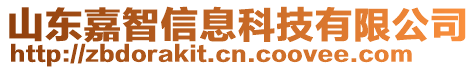 山東嘉智信息科技有限公司