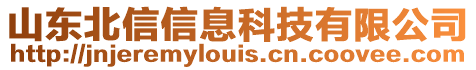 山東北信信息科技有限公司